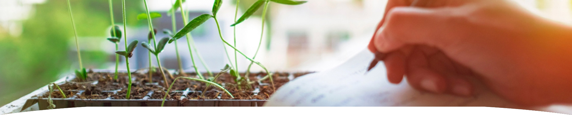 sustainability-reporting